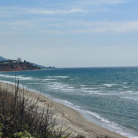 Apartament Armonia Seaside Lofts Marónia Zewnętrze zdjęcie