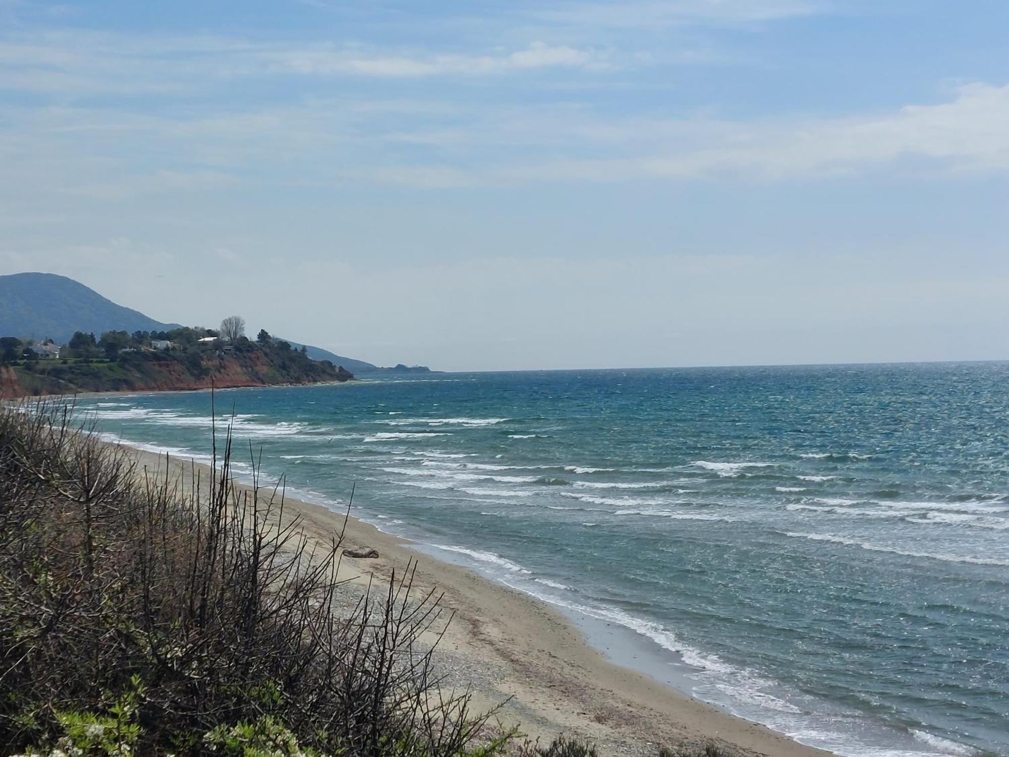 Apartament Armonia Seaside Lofts Marónia Zewnętrze zdjęcie